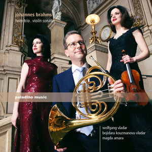 Brahms: Horn Trio &amp; Violin Sonatas