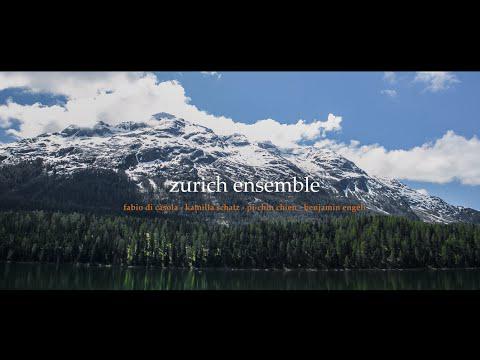 Preview image for the video "Zurich Ensemble".